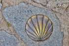 Spain-Galicia Brass scallop shell to point the way on the Camino de Santiago Art Print